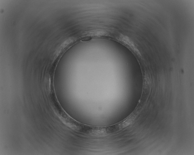 X0000073710110200608171148