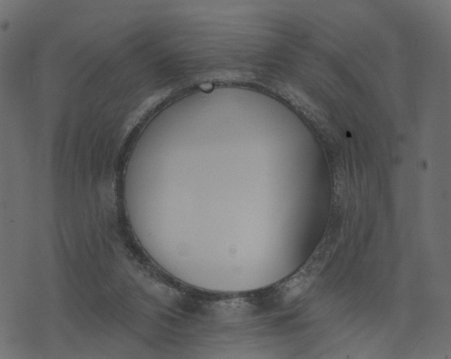 X0000073710112200608171148