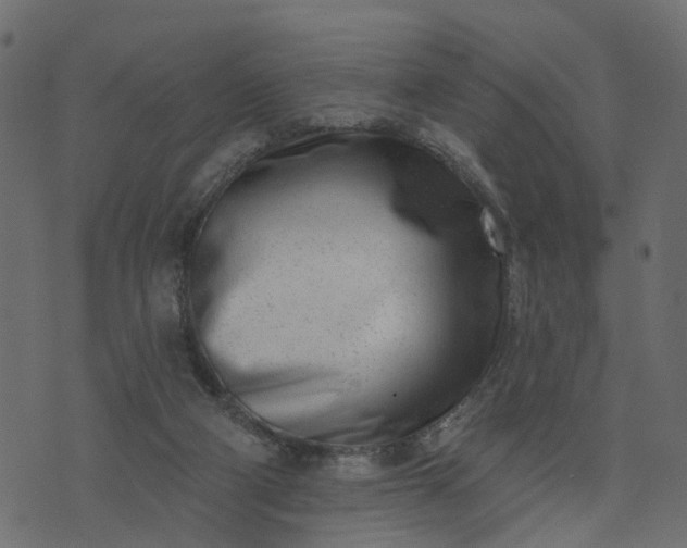 X0000073710114200608171148