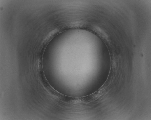 X0000073710115200608171148