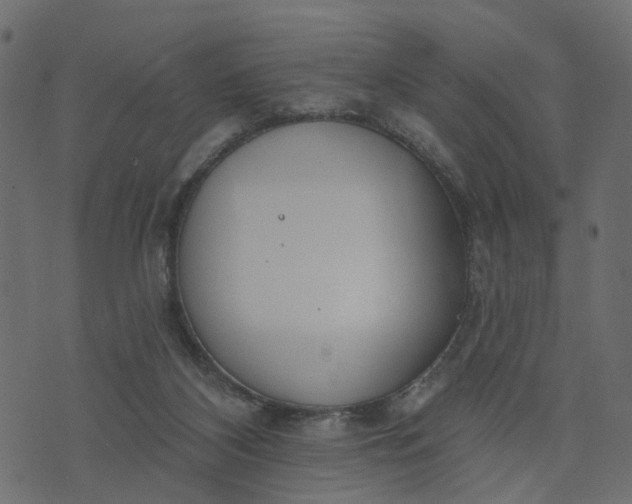 X0000073710116200608171148