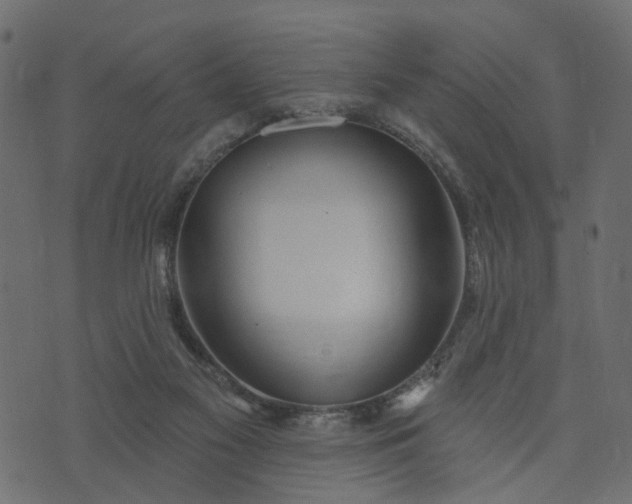 X0000073710117200608171148