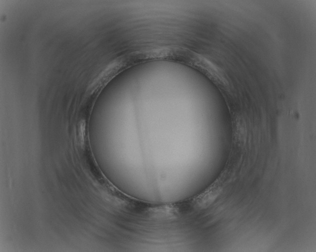 X0000073710118200608171148