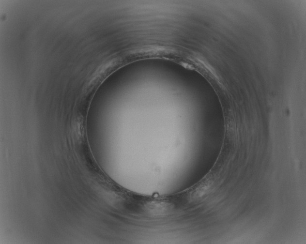 X0000073710119200608171148