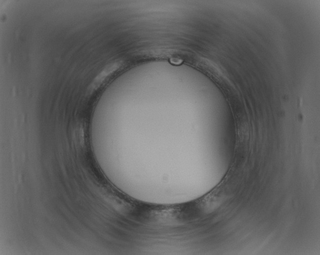 X0000073710120200608171148