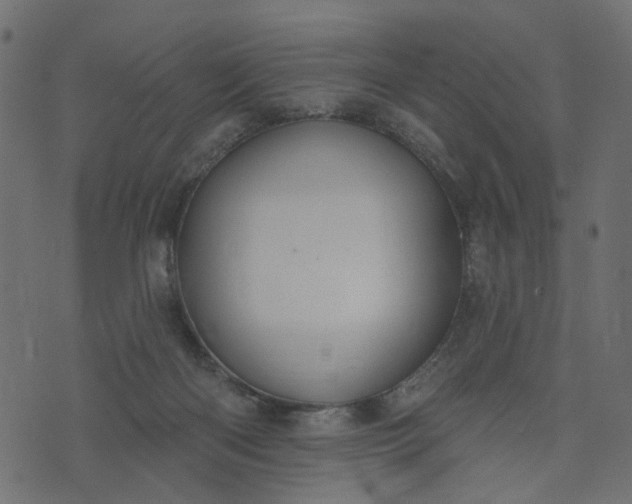 X0000073710122200608171148