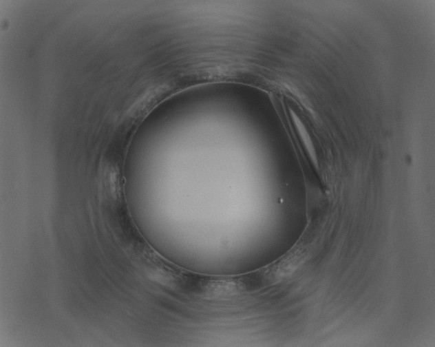 X0000073710123200608171148