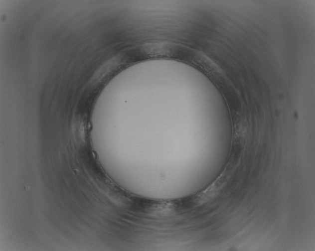 X0000073710124200608171148