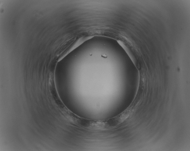 X0000073710125200608171148