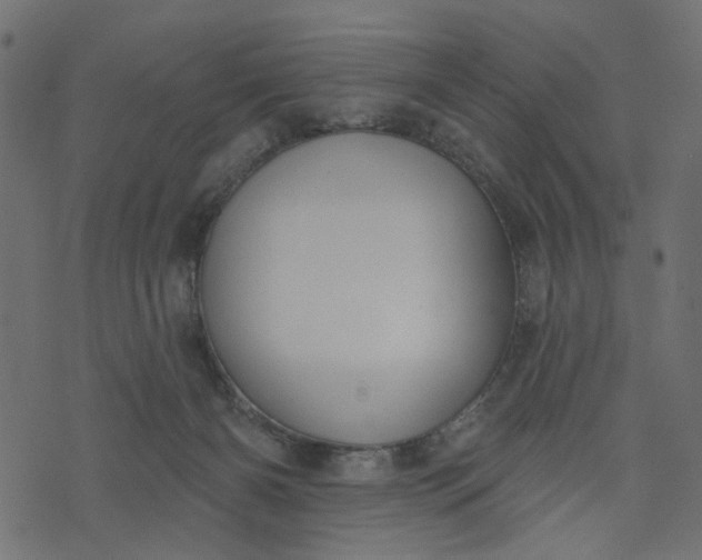 X0000073710126200608171148