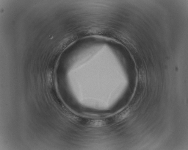 X0000073710127200608171148