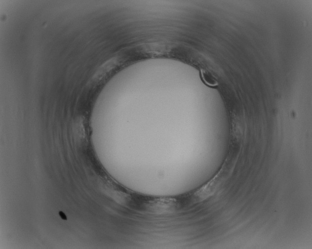 X0000073710128200608171148