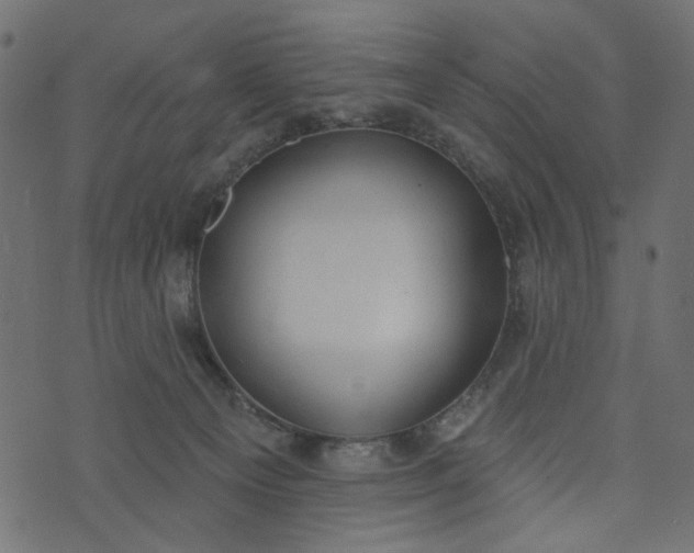 X0000073710129200608171148