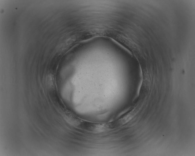 X0000073710130200608171148