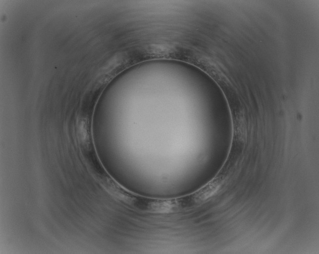 X0000073710131200608171148