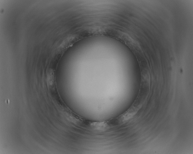 X0000073710133200608171148