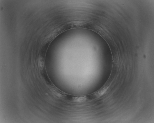 X0000073710135200608171148