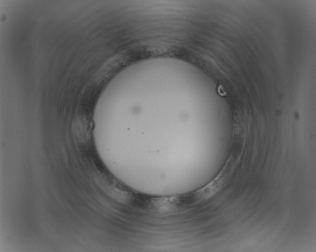 X0000073710136200608171148