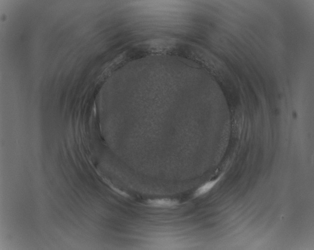 X0000073710137200608171147