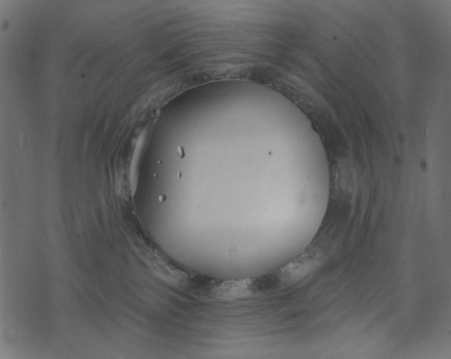 X0000073710138200608171147