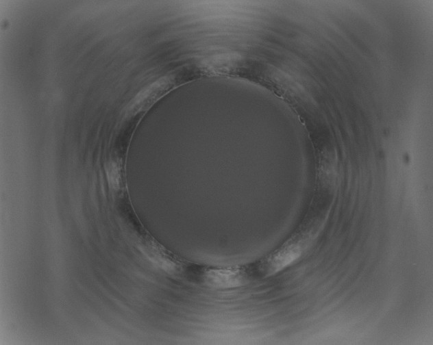 X0000073710139200608171147