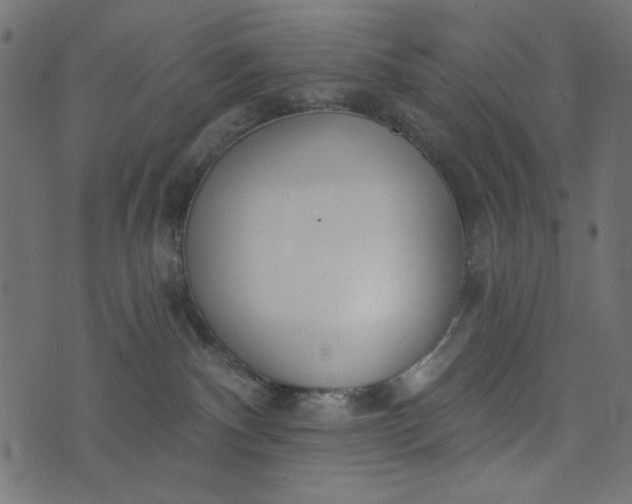 X0000073710140200608171147