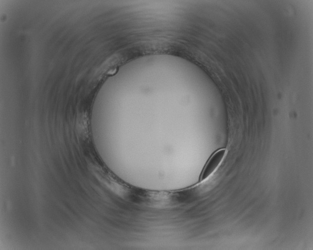 X0000073710144200608171147