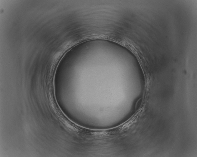 X0000073710145200608171147