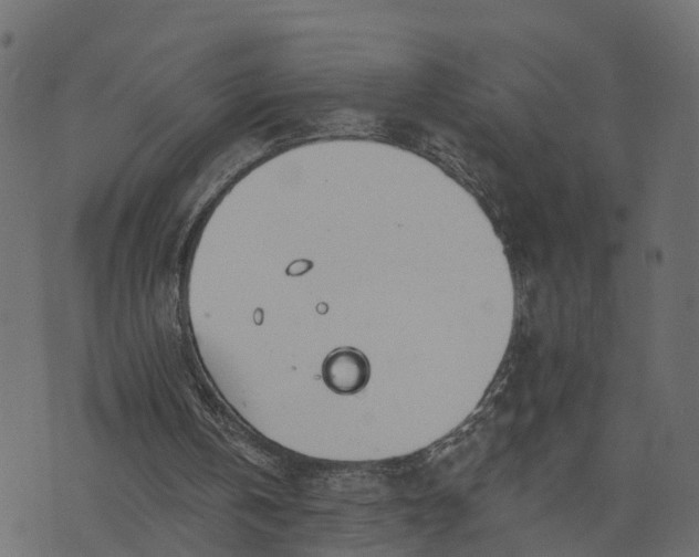 X0000073710146200608171147