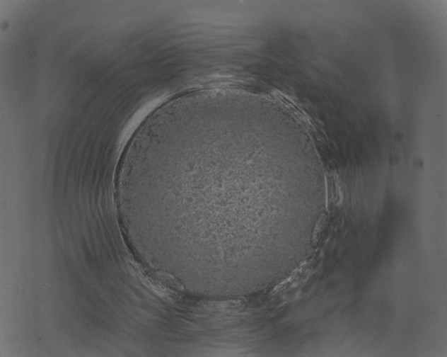 X0000073710147200608171147