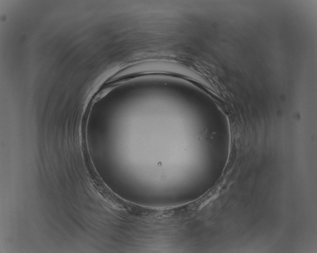 X0000073710148200608171147