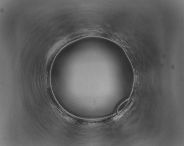 X0000073710149200608171147