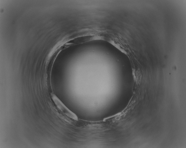 X0000073710150200608171147