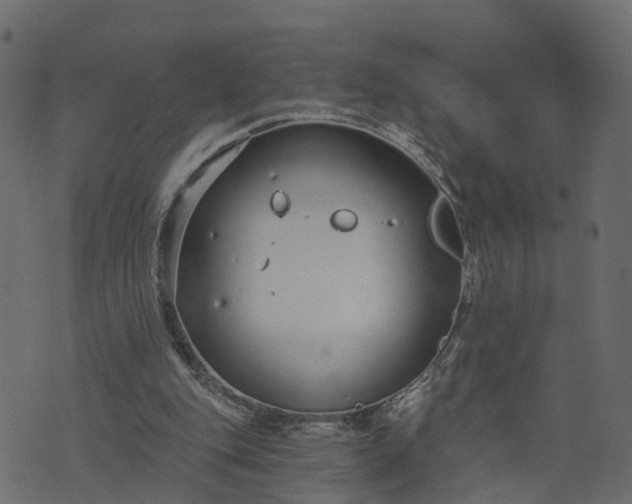 X0000073710151200608171147