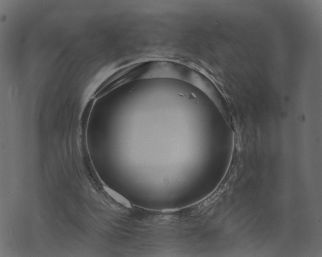 X0000073710152200608171147