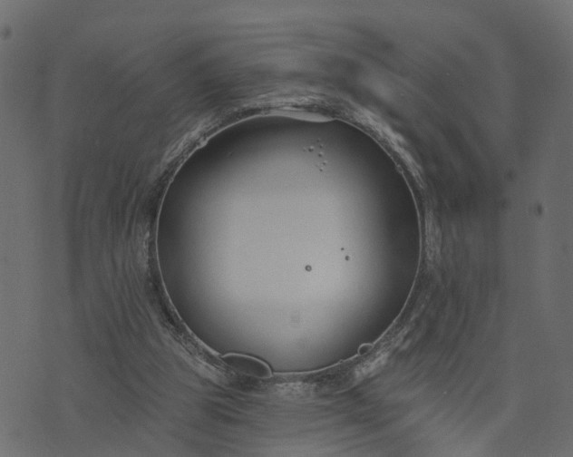 X0000073710153200608171147