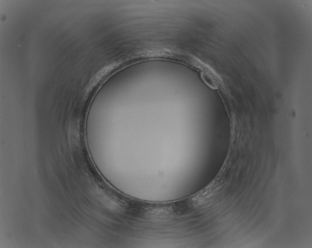 X0000073710155200608171147