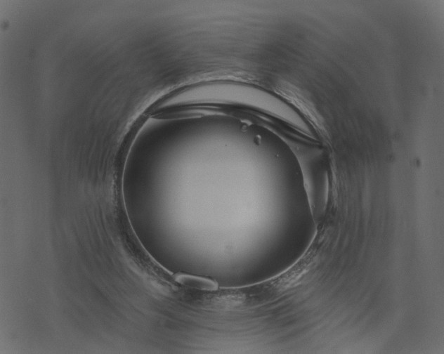 X0000073710156200608171147