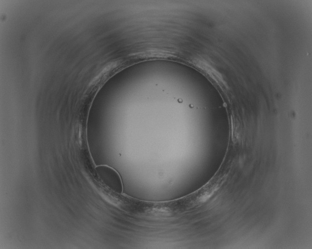 X0000073710157200608171147