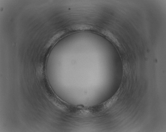 X0000073710159200608171147