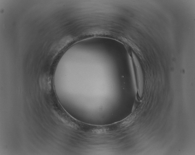 X0000073710160200608171147