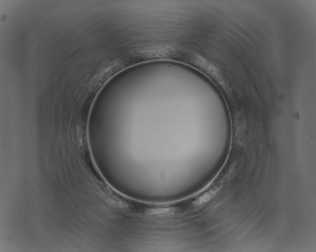 X0000073710161200608171147