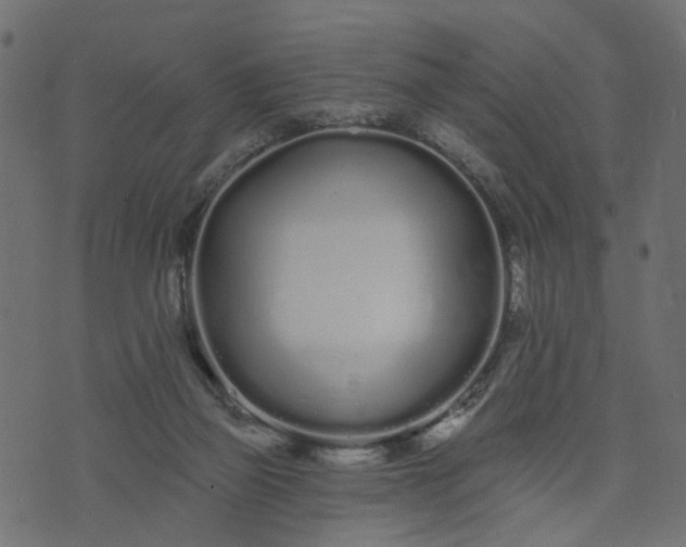 X0000073710165200608171147