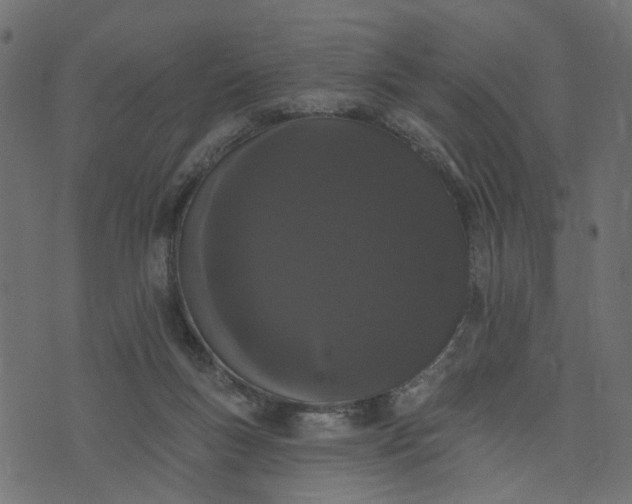 X0000073710167200608171147