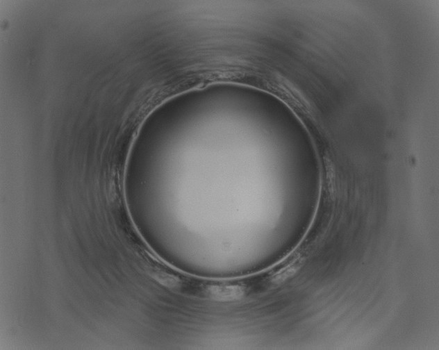 X0000073710169200608171147