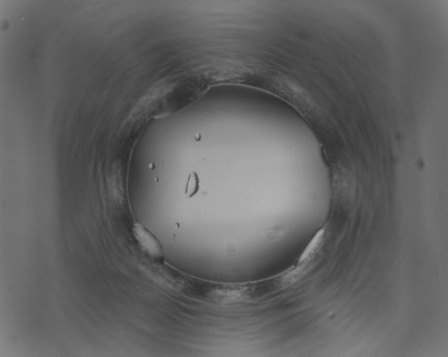 X0000073710170200608171147