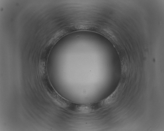 X0000073710171200608171147