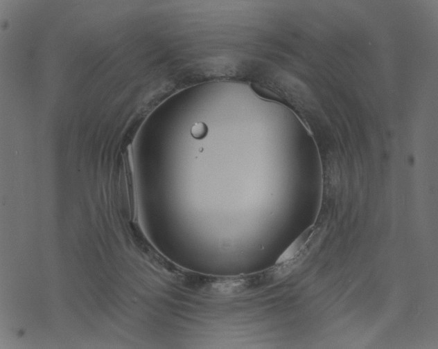 X0000073710172200608171147