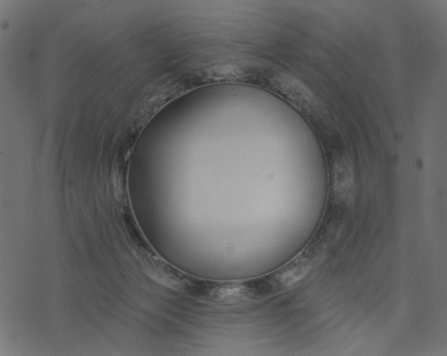 X0000073710173200608171147