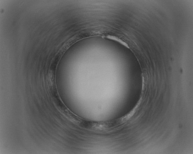 X0000073710174200608171147